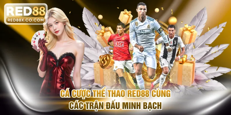 Cá cược thể thao RED88 cùng các trận đấu minh bạch
