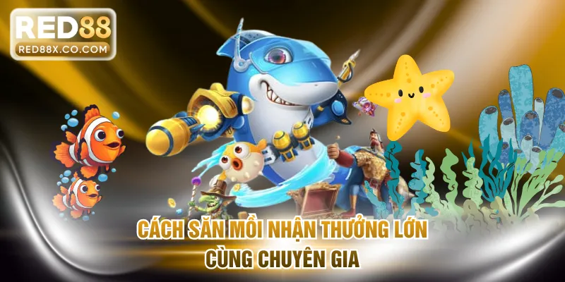 Cách săn mồi nhận thưởng lớn cùng chuyên gia