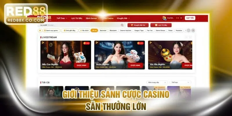Giới thiệu sảnh cược casino săn thưởng lớn
