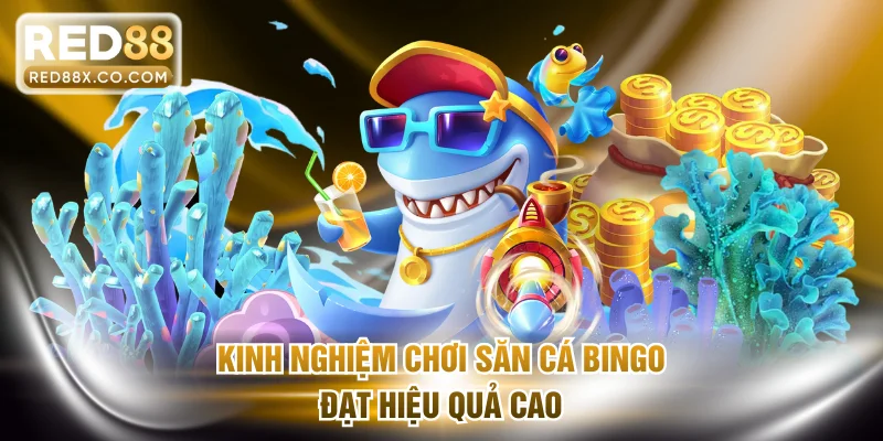 Kinh nghiệm chơi săn cá Bingo đạt hiệu quả cao