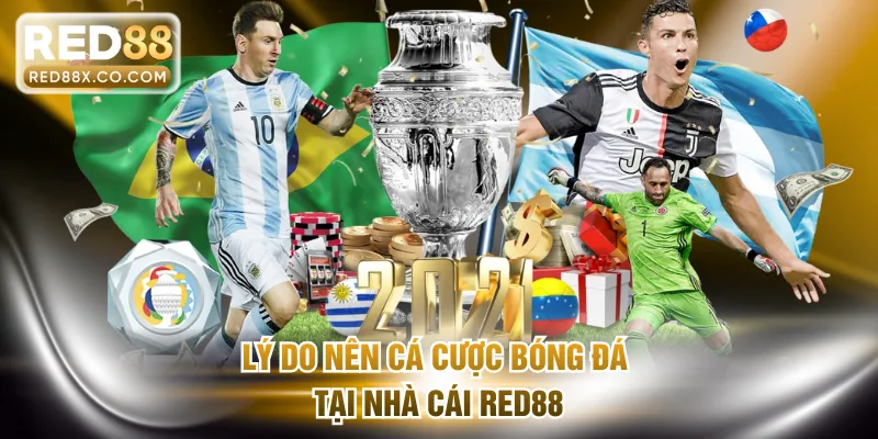 Lý do nên cá cược bóng đá tại RED88